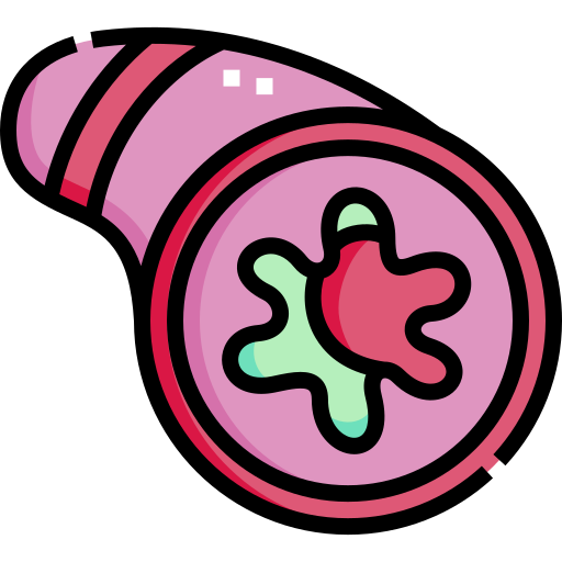 Mucous Plug